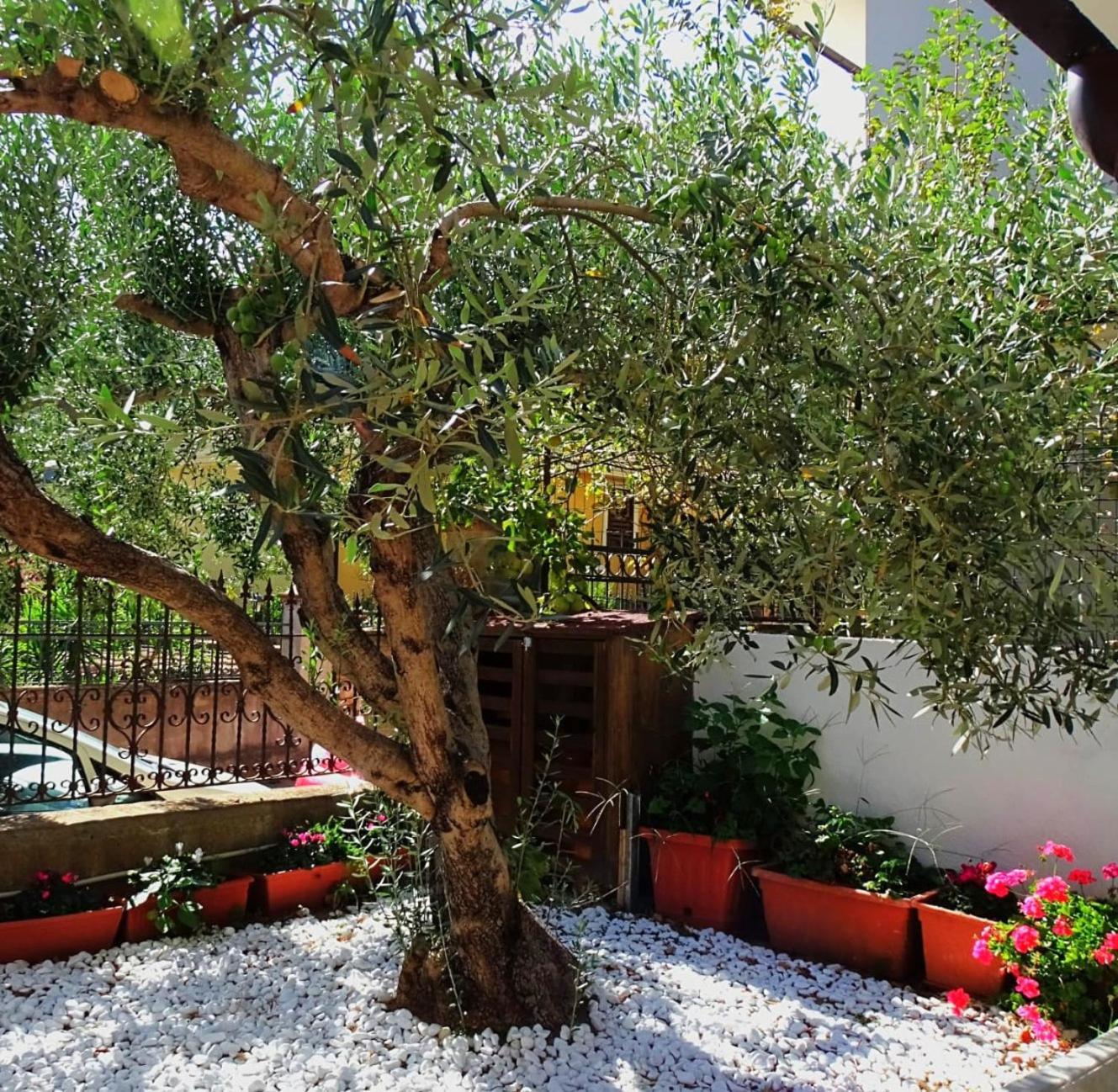 Le Sorgenti Guest House Ilbono Exteriér fotografie