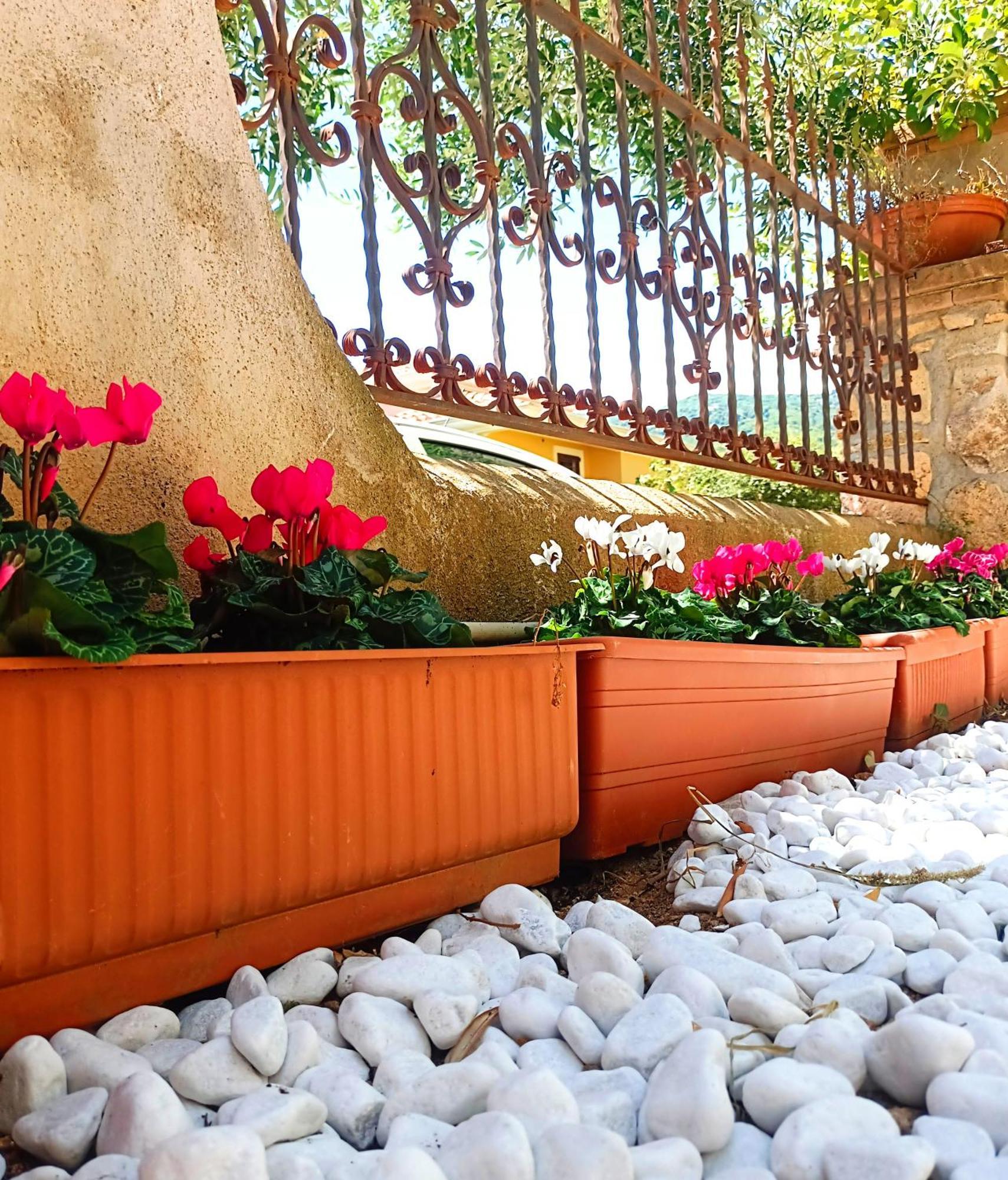 Le Sorgenti Guest House Ilbono Exteriér fotografie